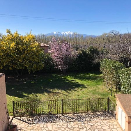Au Mimosa -Gite Le Canigou Passa Kültér fotó