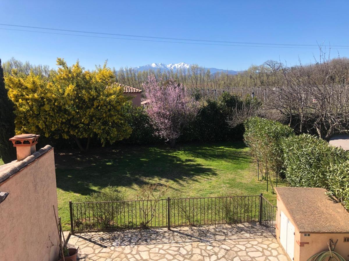Au Mimosa -Gite Le Canigou Passa Kültér fotó