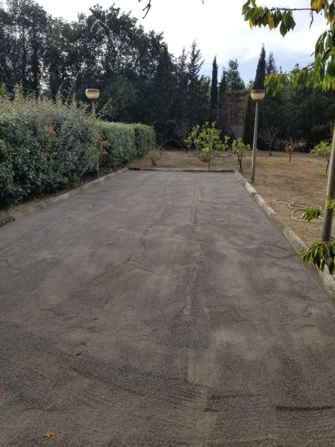 Au Mimosa -Gite Le Canigou Passa Kültér fotó