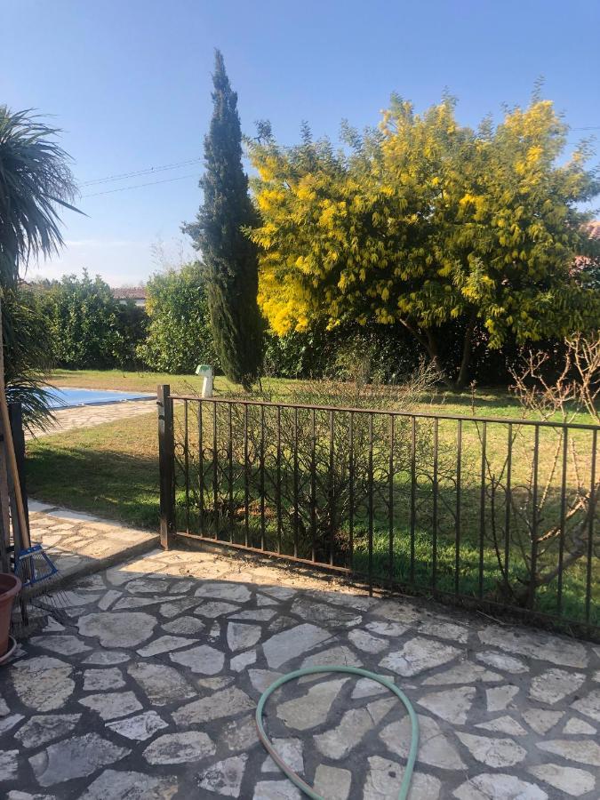 Au Mimosa -Gite Le Canigou Passa Kültér fotó